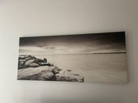 Canvas tavla