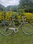28 tum herrcykel DBS