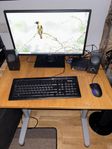Asus Mini Pc+Skärm