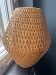 Rottinglampa