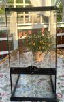 Exo Terra Terrarium Mini X-Tall