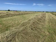 Hösilage