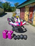 gokart: senior 125