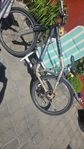 Crescent mountainbike Edge 