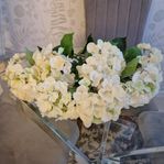 7 st helt nya / oanvända Hortensia från NEWPORT 