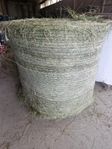 Hösilage för häst
