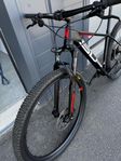 MTB Superior Hardtail XP 919