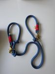 Set Hundhalsband med koppel