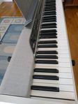 Casio Privia PX-310 digitalpiano