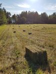 Hö småbal