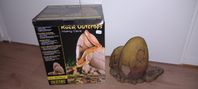 rock outcorps