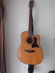 Gitarr Tanglewood TW28 med mic