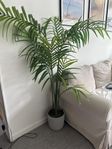 Palm i plast med kruka