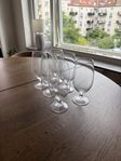 Spiegelau ölglas, 6st