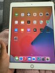 iPad 8 genration