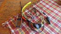 garmin alfa100