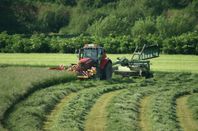 Hösilage i fyrkantsbal för häst