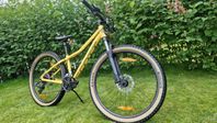 Scott Roxter 26 disc