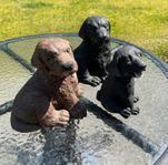 Trädgårdsfigurer