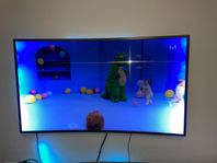 Samsung Curved LED-TV – 55 tum (backlight-problem)