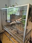 Stort Terrarium 