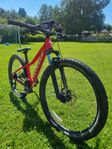 Specialized Rockhopper 26 tum