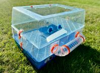 Hamsterbur till salu – komplett med tillbehör