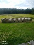 hö och hösilage 
