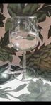 Iittala vinglas 5 st