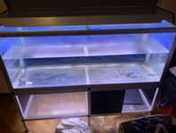 STORT AKVARIUM PÅ CIRKA 300 LITER (1100 KR)