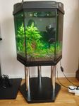 6 kantigt akvarium med led ljus sand o pump ca 70 liter