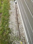 Järnspett