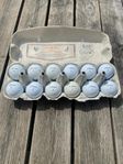 Titeleist ProV1