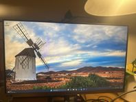 Samsung 24" Professional Monitor