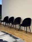 4 stolar Venture home
