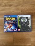 Ps5 spel