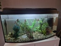 Akvarium 100 L med tillbehör 
