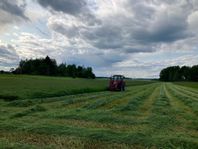 Analyserat plastat Hö/väldigt torrt Hösilage till häst
