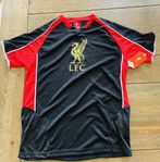 Liverpool tröja YXL 13-15 år
