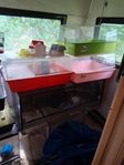 masvinsburar och terarium