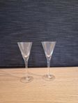 Snapsglas Chateau Kosta Boda
