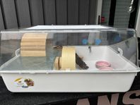 Hamsterbur med många tillbehör