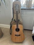 Akustisk gitarr Parkwood PW 510