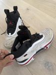 Jordan Air storlek 41