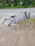 Dbs damcykel