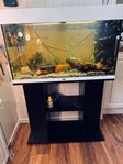 Akvarium Juwel 125 liter
