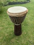 Djembe trumma