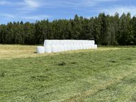 Hösilage