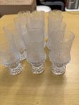iittala Ultima Thule snaps/likör glas