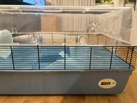 Hamsterbur Ferplast Duna Fun Large